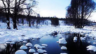 ��ɭ���羰��